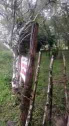 Natural wooded flat land area ideal for agriculture or eco project Cocobo Calobre Veraguas