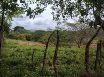 Natural open terrain and wooded sections in large farmland for sale Cocobo Calobre Panama