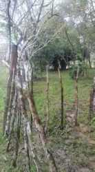 Rustic wooden fence along green field area for sale in Cocobo Calobre Veraguas Panama