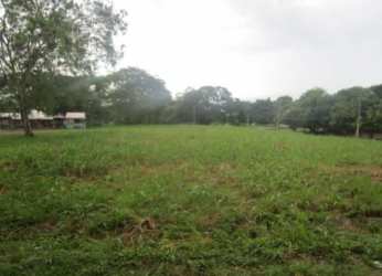 Open vacant development plot with grass and trees for sale in Chitré Panama
