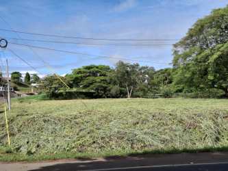 Large commercial lot on avenue ideal for retail project hotel or mixed development Chitré Panama