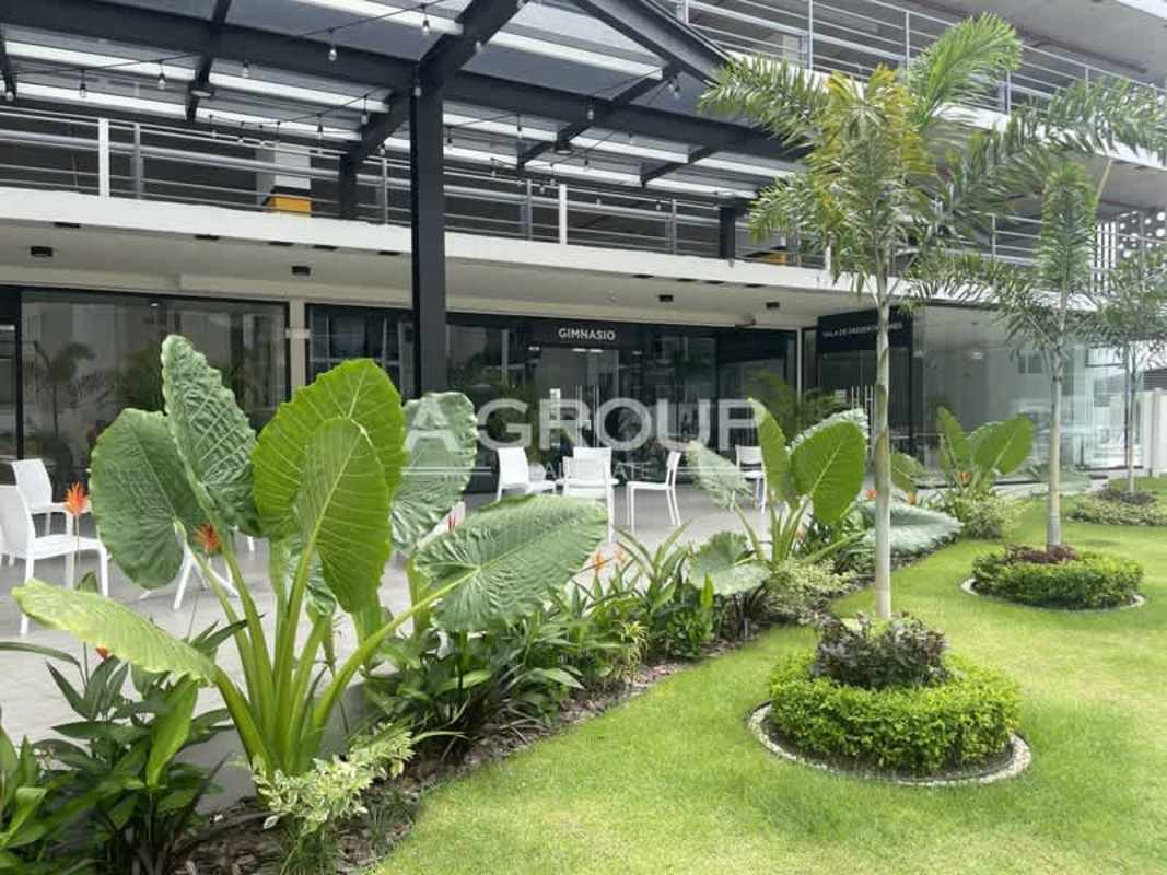 Modern 2BR Apartment Panama Viejo Residences Chanis