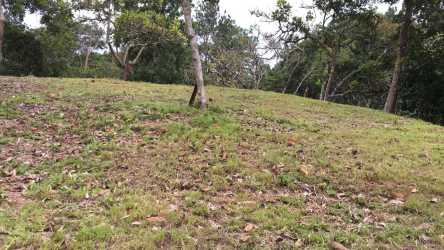 Aerial estate view with countryside green plots within Brisas de los Lagos La Chorrera Panama