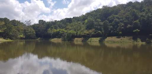 Natural calm lake surrounded by forested area inside Brisas de los Lagos residential project Panama