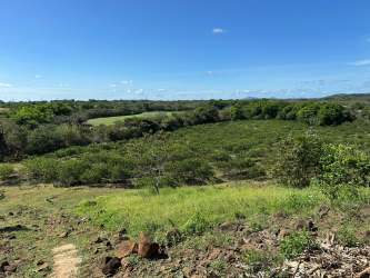 Cultivated lime farm land with mountain backdrop Penonome Panama