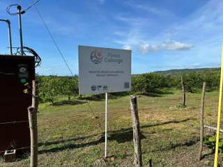 Farm / Agricultural Land for Sale in Chiguiri Arriba - 0 bedrooms