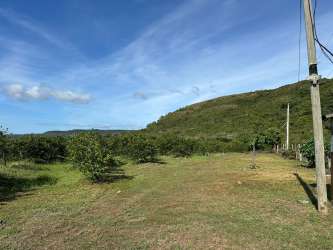 Open fields with dirt road for agricultural farming Penonome