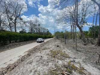 Natural flat terrain with sparse vegetation ideal for residential build San Carlos Panama