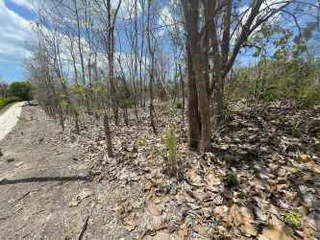 Vacant Land for Sale in Mata Palo - 0 bedrooms