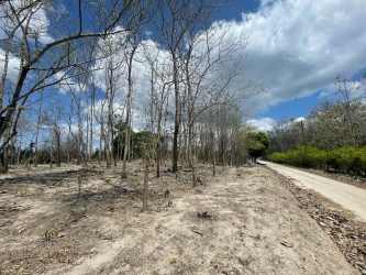 Flat countryside plot ready for building investment near Pacific Ocean