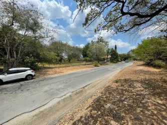 Paved street edge with trees, parked car and open field area in San Carlos
