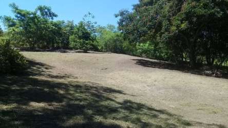 Large developable vacant land near Rio Mar beach San Carlos with mature vegetation