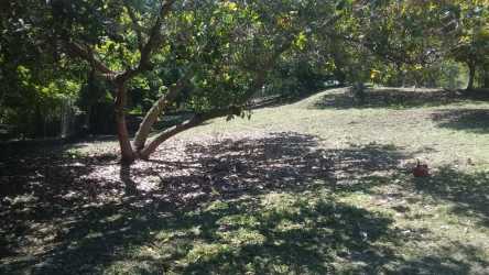 Land lot with trees and gentle slope ideal for residential build near surf beaches in Panama