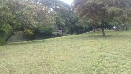 Natural lot with large shady trees near Playa Río Mar San Carlos ideal residential development