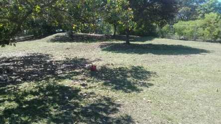 Natural land lot featuring trees and space close to beach in San Carlos Panama