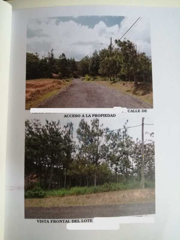 Altos de Cerro Azul 1464m² Private Nature Lot for Development