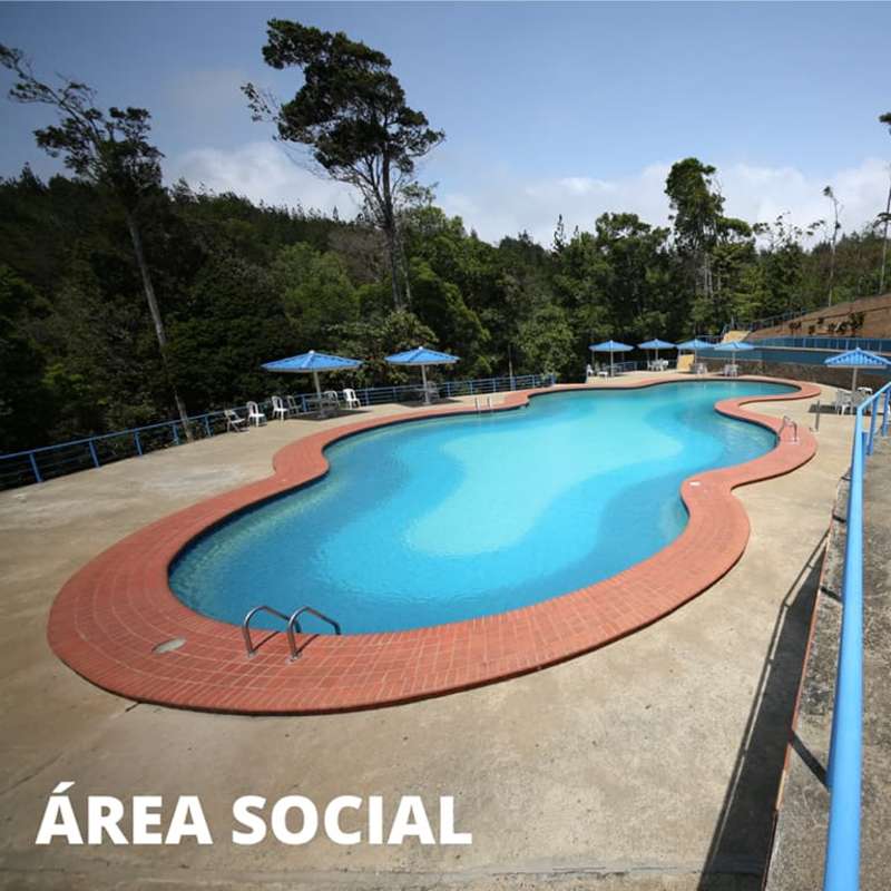 Large outdoor swimming pool and sun patio surrounded by forest in Altos de Cerro Azul Panama