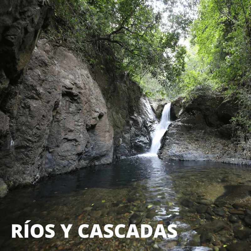 Natural river pool with rocks surrounded by forested area within Altos de Cerro Azul Panama