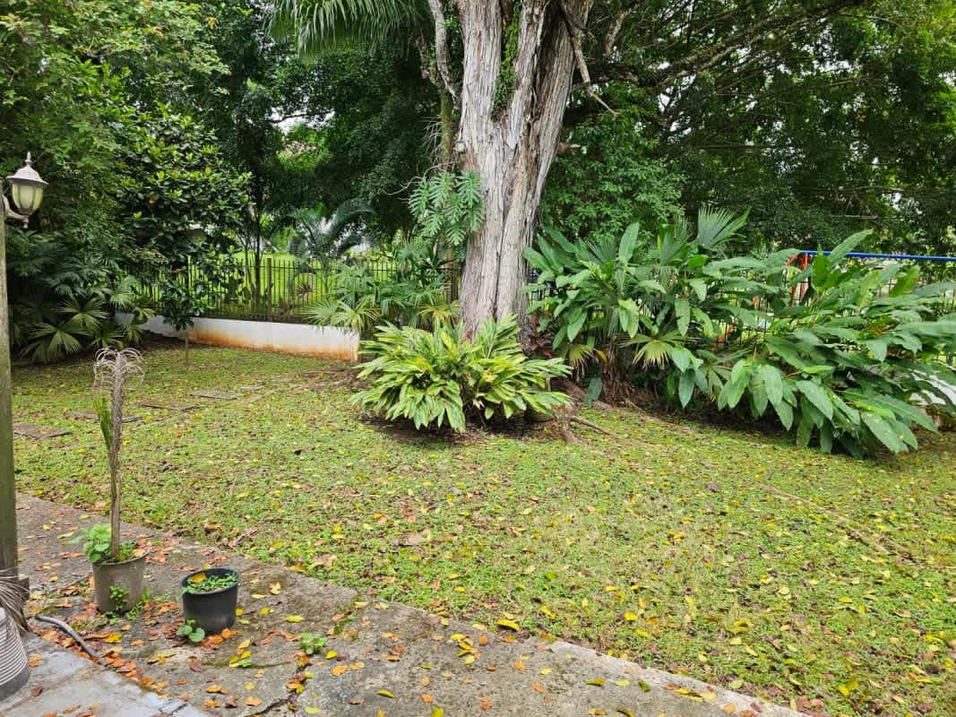 Lush backyard garden with mature landscaping, patio area in PH Torres de Toscana Clayton Panama