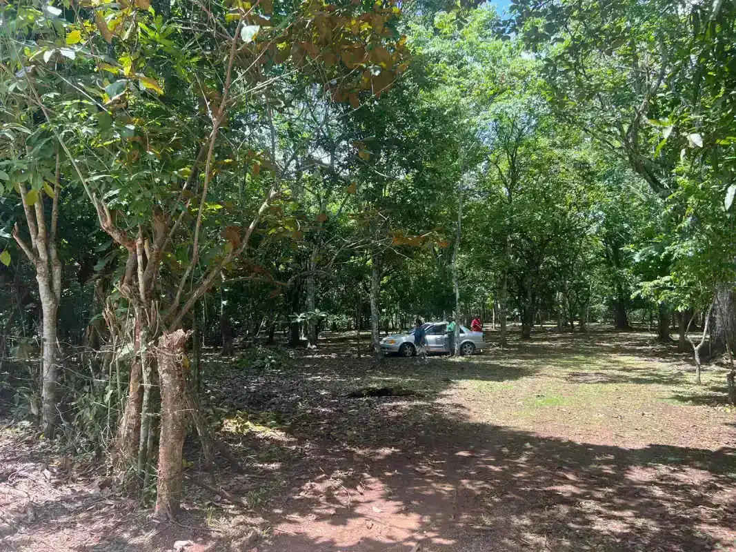 Cleared forest area with parked car and dense trees in Calzada Larga Caimitillo farmland Panama