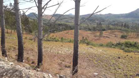 Hilly open terrain mountain land for sale Valle de Antón Panama