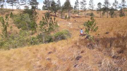 Mixed terrain open and wooded hillside for sale in Valle de Antón Panama