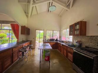 Bright kitchen vaulted ceiling island corner windows concrete counters wood cabinets Santa Clara Panama