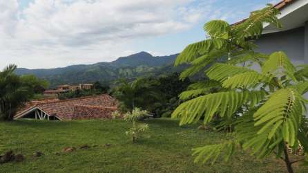 Lush landscaped yard and driveway of mountain house Trinity Hills Valley