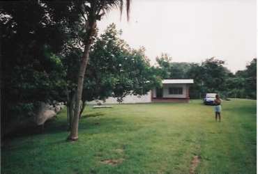 Expansive natural yard with mature trees and river access in Punta Barco area