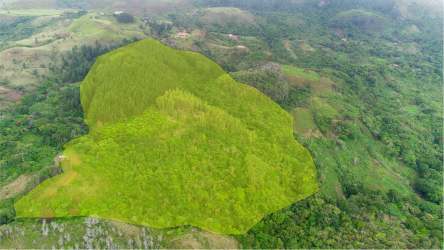 Main rustic cabin surrounded by forest with tropical landscape Altos del María Panama