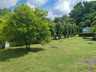 Large green lawn with mature trees and shrubs at beach house near Coronado Panama