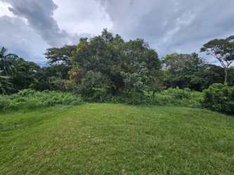 Spacious open lot with mature trees perfect for farm use or countryside residence in Panama