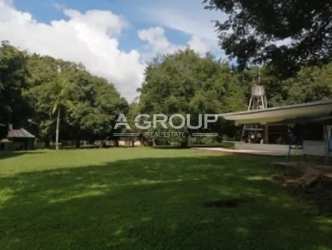 Spacious green area with lawn and mature trees on ranch estate in Nueva Gorgona Panama