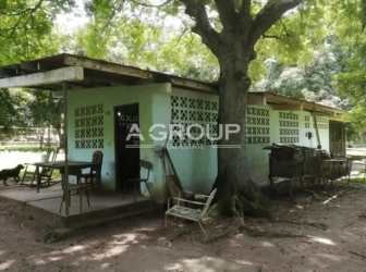 Guest house on ranch estate with terrace and garden view Nueva Gorgona Panama