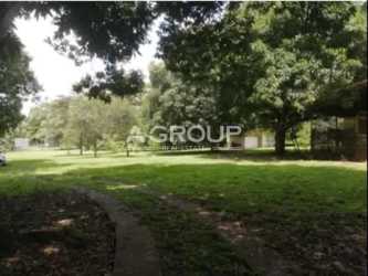 Mature landscaped garden with trees on spacious finca in Nueva Gorgona Panama for sale