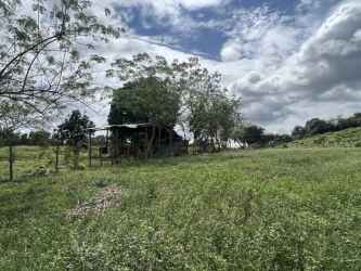 Open rural land with trees and grassy terrain under a cloudy sky in Coclé Panama