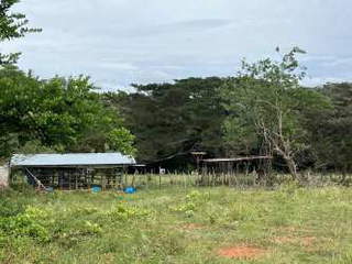 Land for Sale in Cañaveral - 0 bedrooms