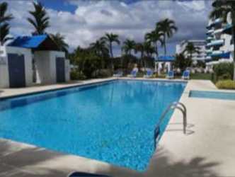 Outdoor swimming pool surrounded by palm trees and lounge chairs at Playa Blanca Resort Panama