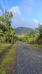 Vacant lot with lush greenery in gated development El Valle Panama