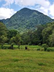 Vacant lot surrounded by greenery and mountain views in Aires del Gaital community