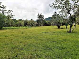 Internal streets with green areas in Aires del Gaital gated community El Valle Panama