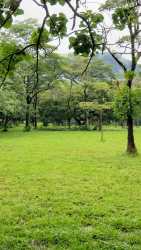 Flat rural land in El Valle near the forest edge, ideal for cabins or eco-resort