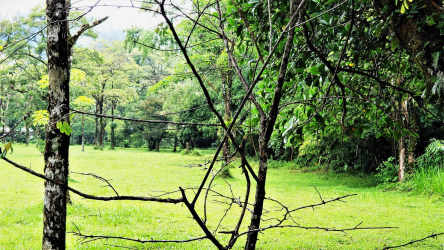 9,000m2 flat mountain lot for sale in El Valle Panama surrounded by greenery
