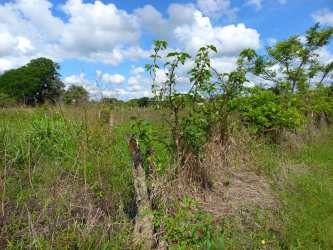 Flat lot of natural rural land bordered by paved road close to Playa Venao surf beaches