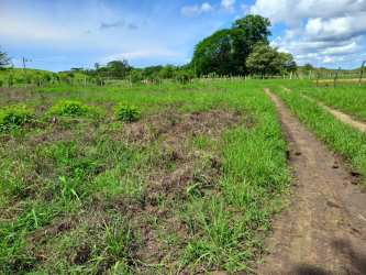 Triangular land parcel with main road access near Playa Venao in rural Los Santos Panama