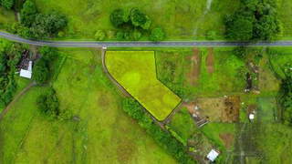 Land for Sale in Cañas - 0 bedrooms