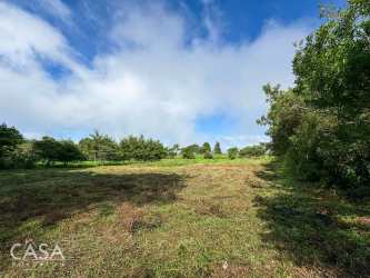 Spacious grassy plot with trees under sky in Alto Jaramillo Boquete Panama
