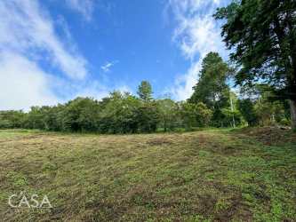 Cleared flat lot with natural wooded border in Alto Jaramillo Boquete Panama
