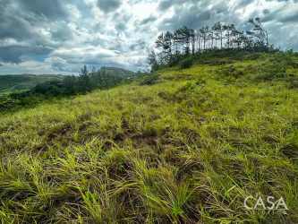 Scenic hillside with mature trees and cloudy skies on land for sale in Penonomé Coclé Panama