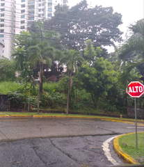 Land for Sale in El Cangrejo - 0 bedrooms